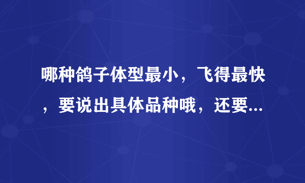 哪种鸽子体型最小，飞得最快，要说出具体品种哦，还要是中国有的。