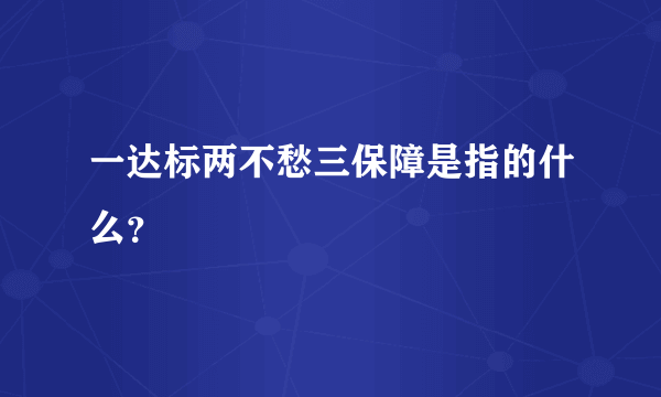 一达标两不愁三保障是指的什么？