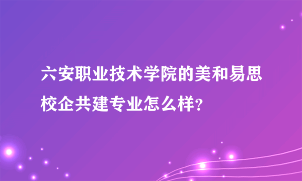 六安职业技术学院的美和易思校企共建专业怎么样？