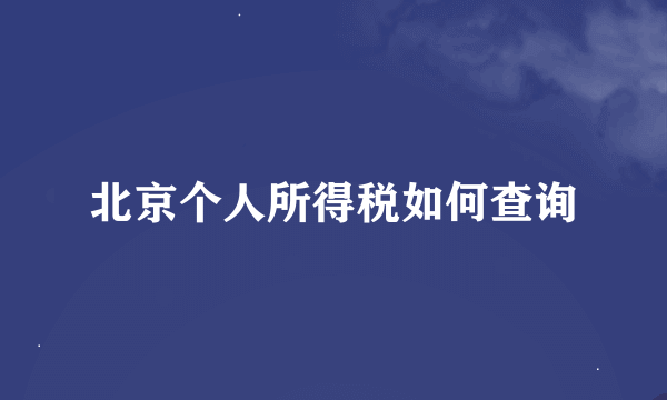 北京个人所得税如何查询