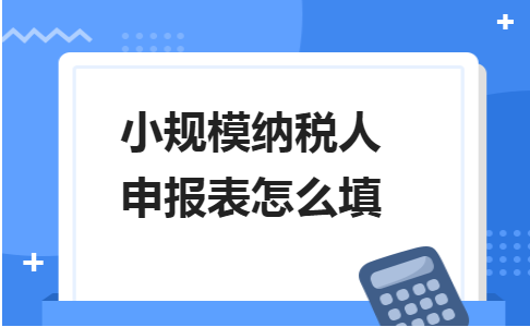 小规模增值税纳税申报表怎么填