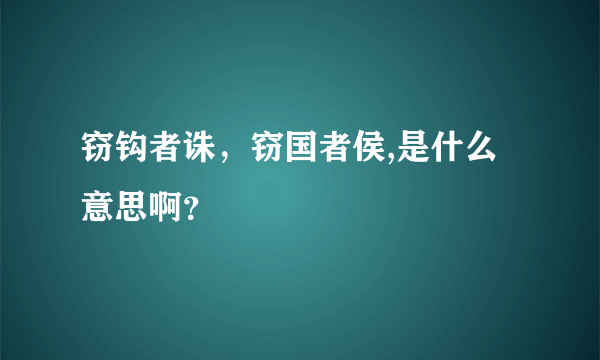 窃钩者诛，窃国者侯,是什么意思啊？