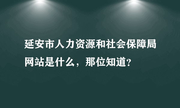 延安市人力资源和社会保障局网站是什么，那位知道？