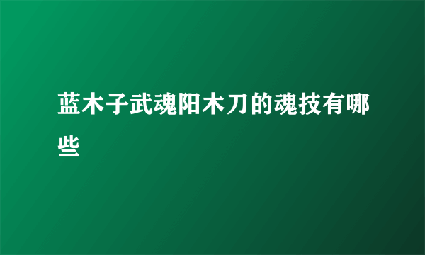 蓝木子武魂阳木刀的魂技有哪些