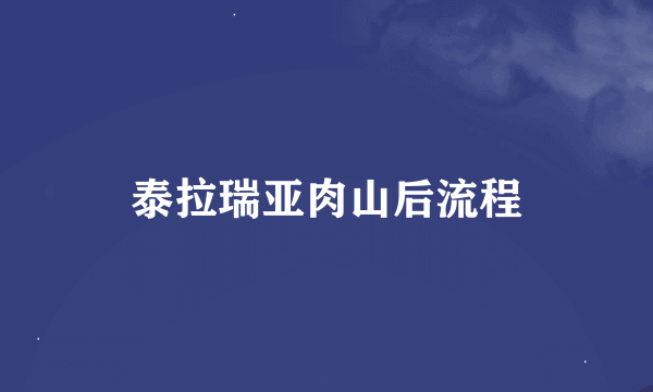 泰拉瑞亚肉山后流程