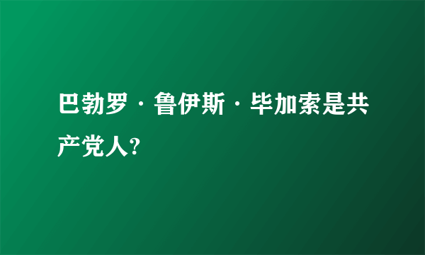 巴勃罗·鲁伊斯·毕加索是共产党人?