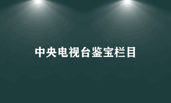 中央电视台鉴宝栏目