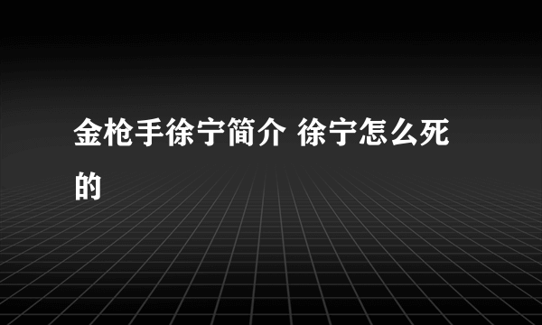 金枪手徐宁简介 徐宁怎么死的