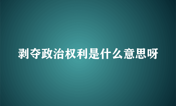 剥夺政治权利是什么意思呀