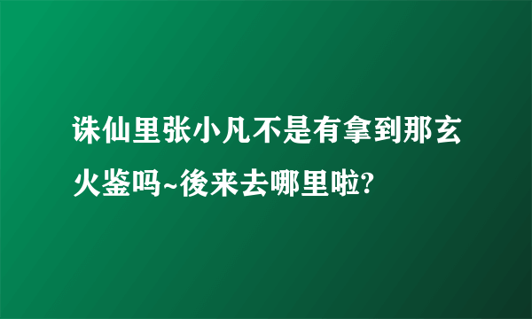 诛仙里张小凡不是有拿到那玄火鉴吗~後来去哪里啦?