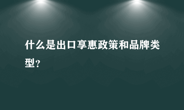 什么是出口享惠政策和品牌类型？