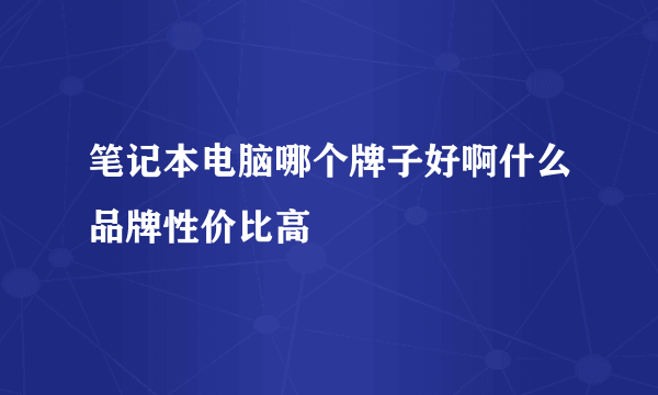 笔记本电脑哪个牌子好啊什么品牌性价比高