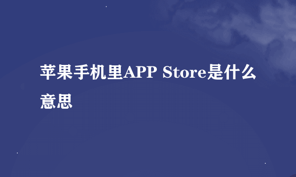 苹果手机里APP Store是什么意思