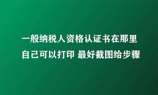 一般纳税人资格认证书在那里自己可以打印 最好截图给步骤