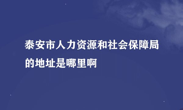 泰安市人力资源和社会保障局的地址是哪里啊