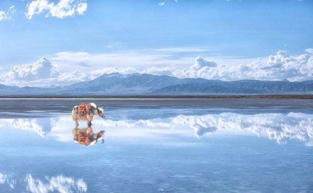 青海旅游景点都有哪些？