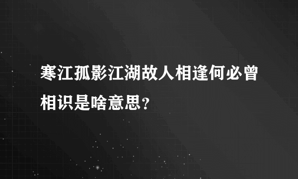 寒江孤影江湖故人相逢何必曾相识是啥意思？