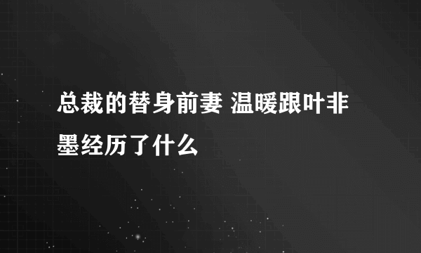 总裁的替身前妻 温暖跟叶非墨经历了什么