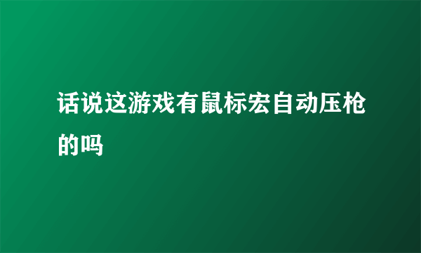 话说这游戏有鼠标宏自动压枪的吗