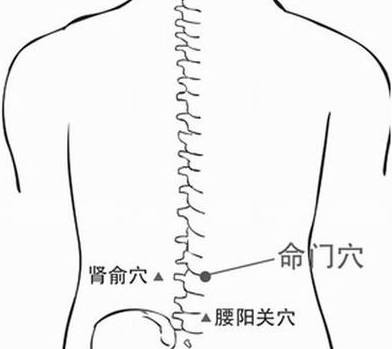 怎么样最简单，找到肾俞穴