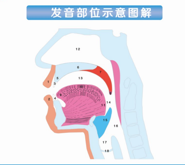 小孩子说话不清楚是什么原因？