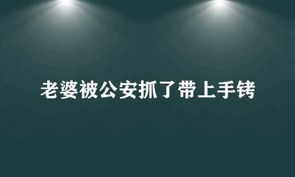 老婆被公安抓了带上手铐