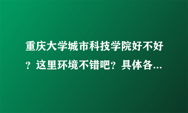 重庆大学城市科技学院好不好？这里环境不错吧？具体各方面说说