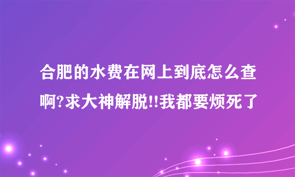 合肥的水费在网上到底怎么查啊?求大神解脱!!我都要烦死了