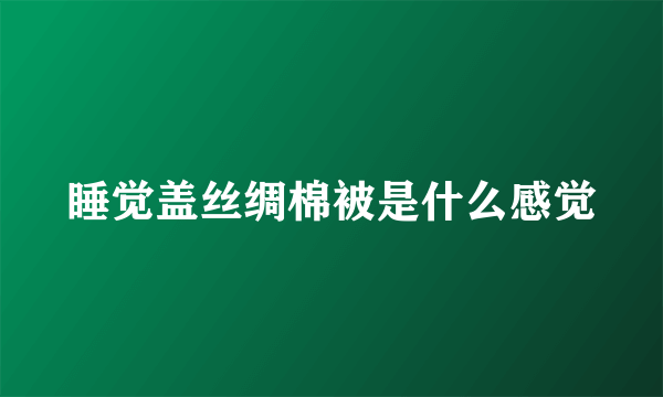 睡觉盖丝绸棉被是什么感觉