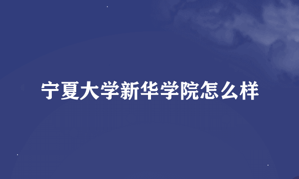 宁夏大学新华学院怎么样