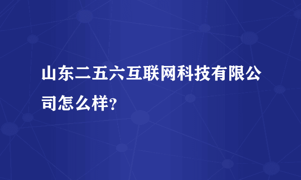 山东二五六互联网科技有限公司怎么样？