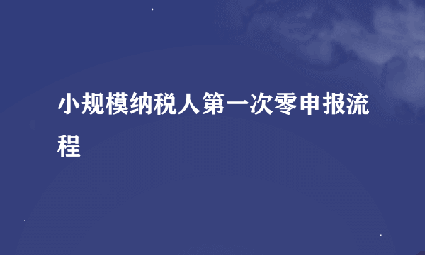 小规模纳税人第一次零申报流程