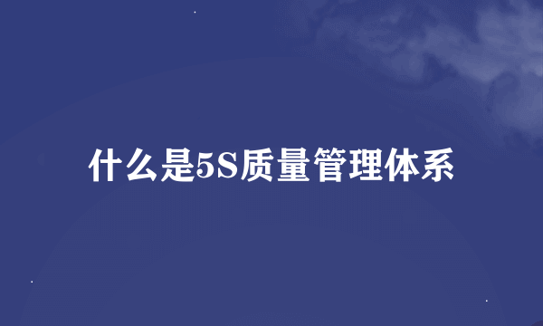 什么是5S质量管理体系