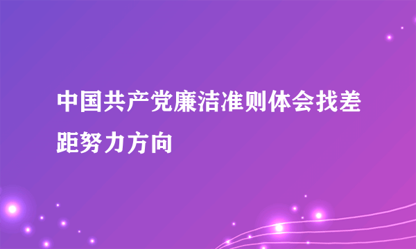 中国共产党廉洁准则体会找差距努力方向