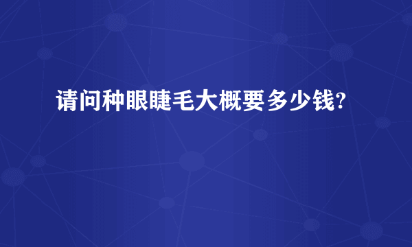 请问种眼睫毛大概要多少钱?