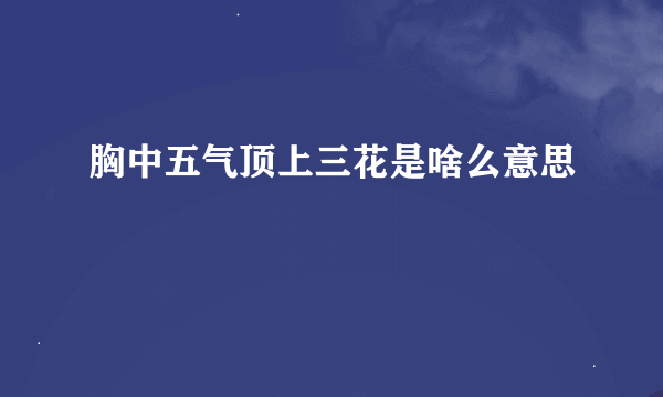 胸中五气顶上三花是啥么意思