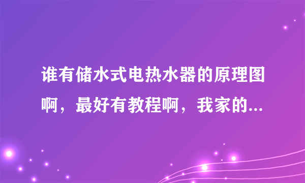 谁有储水式电热水器的原理图啊，最好有教程啊，我家的热水器坏了！