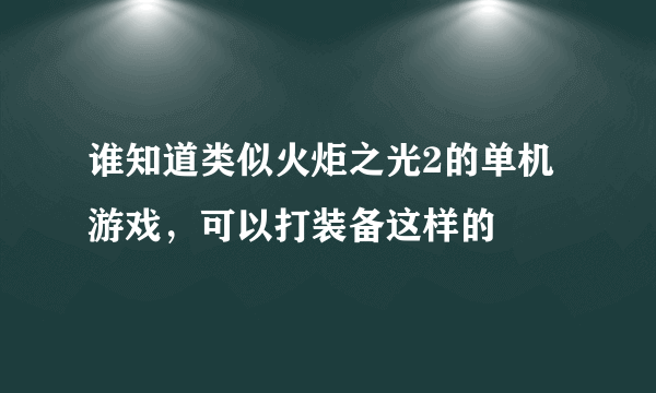 谁知道类似火炬之光2的单机游戏，可以打装备这样的