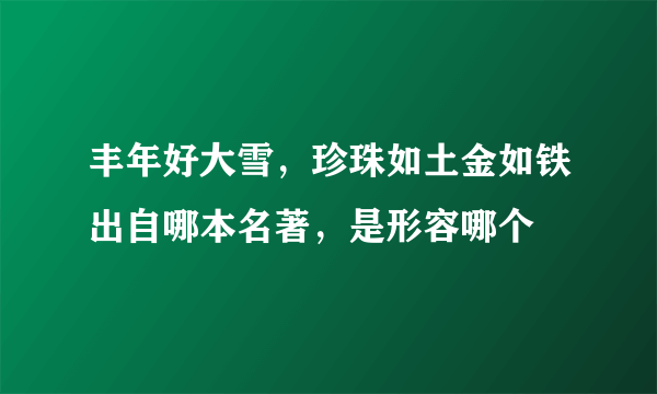 丰年好大雪，珍珠如土金如铁出自哪本名著，是形容哪个