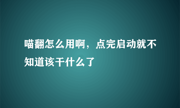 喵翻怎么用啊，点完启动就不知道该干什么了