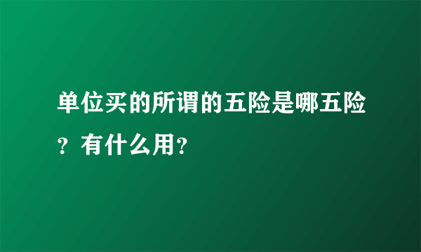 单位买的所谓的五险是哪五险？有什么用？