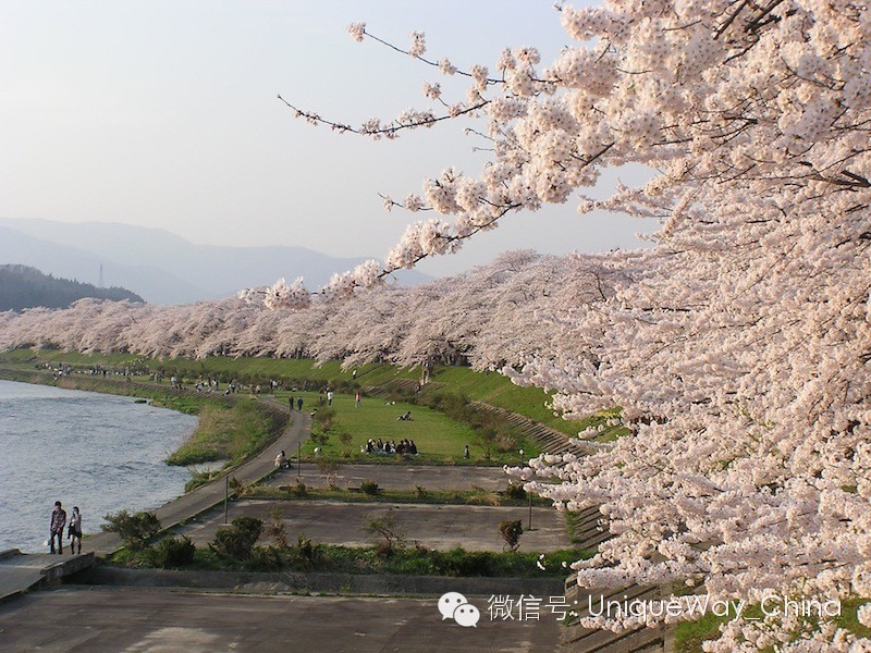 去日本旅行需要花多少钱？