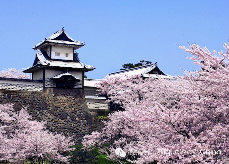 去日本旅行需要花多少钱？