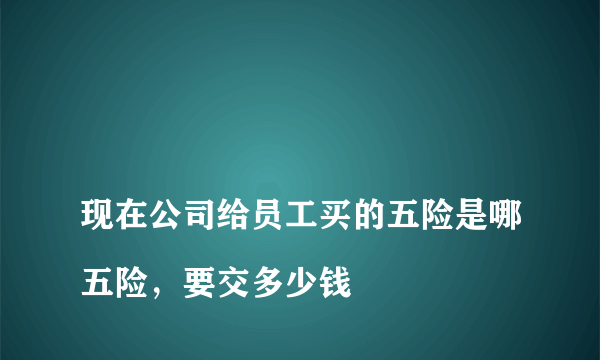 
现在公司给员工买的五险是哪五险，要交多少钱

