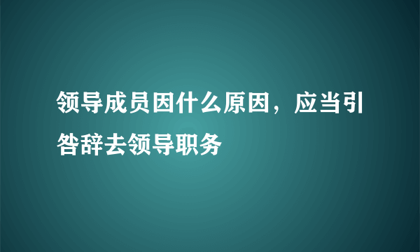 领导成员因什么原因，应当引咎辞去领导职务