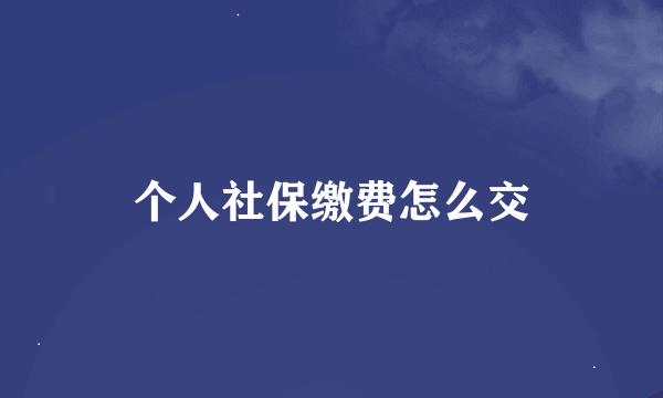 个人社保缴费怎么交