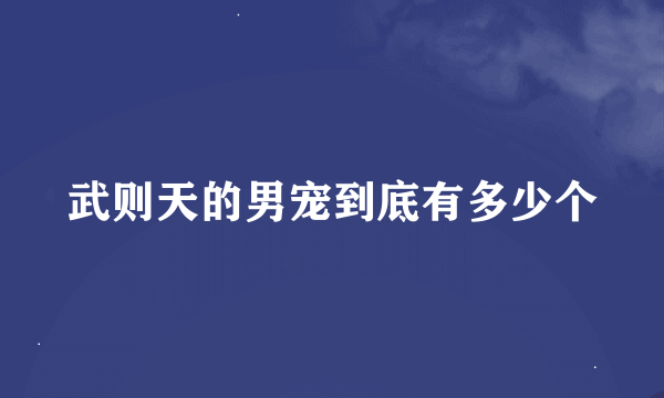 武则天的男宠到底有多少个