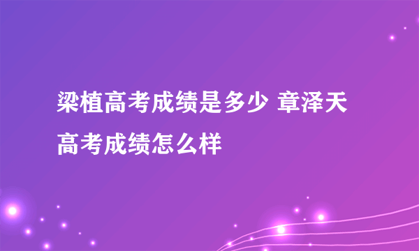 梁植高考成绩是多少 章泽天高考成绩怎么样