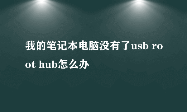 我的笔记本电脑没有了usb root hub怎么办