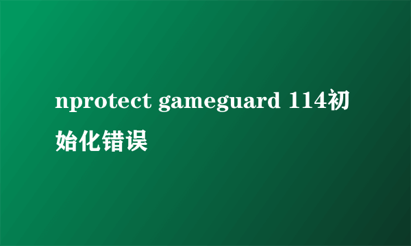 nprotect gameguard 114初始化错误